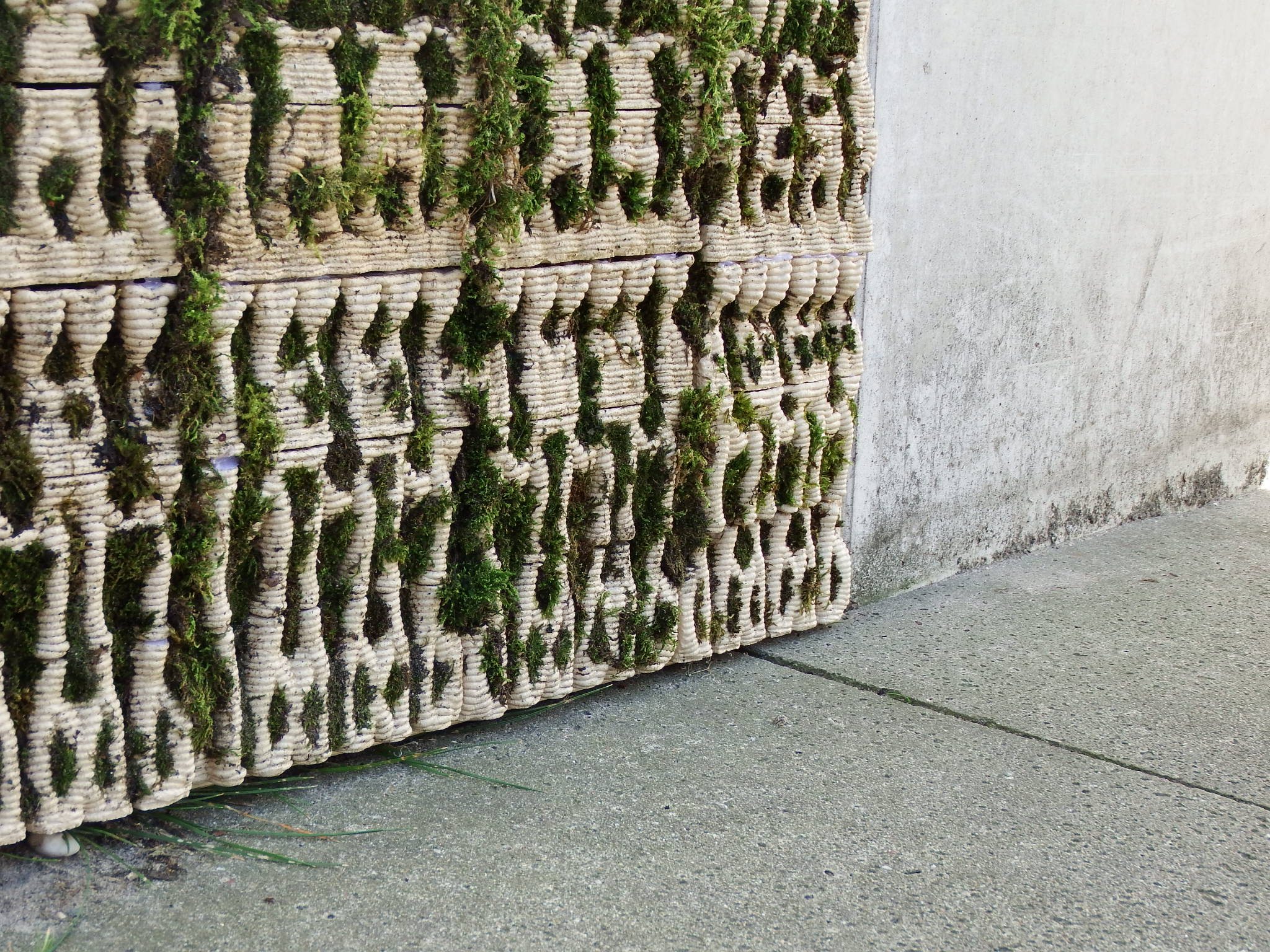 Living Wall