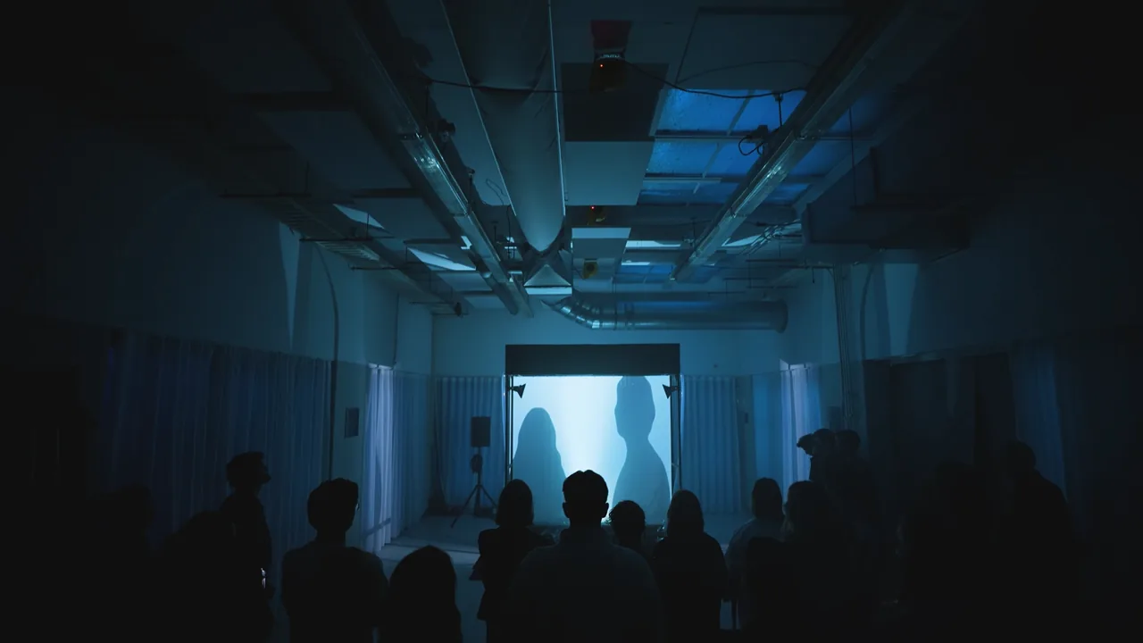 enclosed() Art Installation