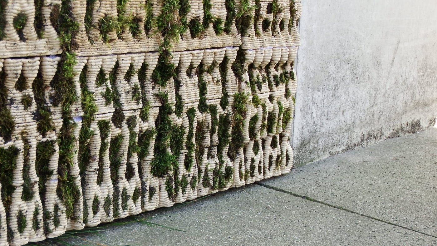 Living Wall